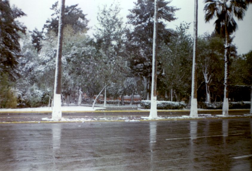 Frente al parque Morelos